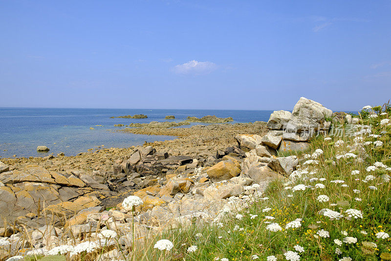 在法国布列塔尼Côtes d'Armor的Bréhat岛在夏天